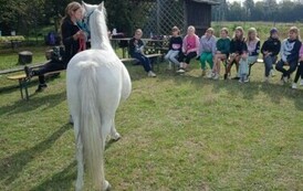 IMG20240923113036