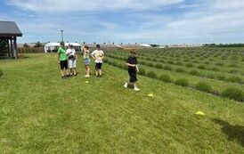 IMG-20260623-WA000023