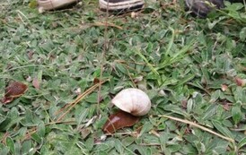 IMG-20240926-WA0025