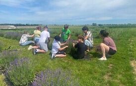 IMG-20260623-WA00009