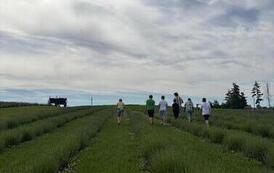 IMG-20260623-WA00005