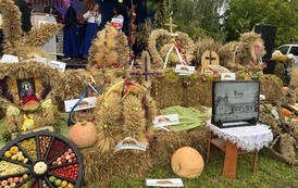 IMG_1161