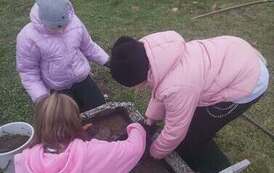 IMG-20261029-WA0016