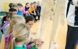Żywa lekcja przyrody 2024 71