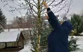 W ptasiej stoł&oacute;wce 7