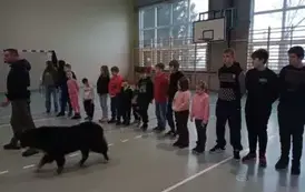 IMG20250114083330
