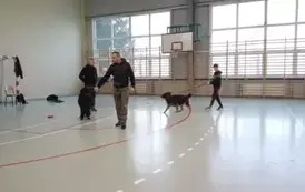 IMG20250114081929