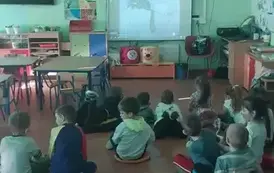 Dzień kota 2025 1
