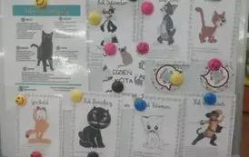 Dzień kota 2025 12