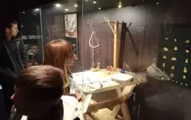 IMG20250508111454