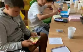5 (12)
