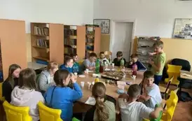 5 (11)