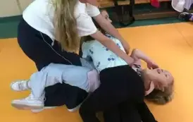 4 (31)