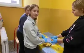W roli gł&oacute;wnej jabłko 2025 6