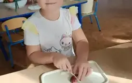 Z jesienią za pab brat 2025 13