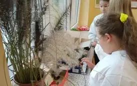 IMG20251114102017