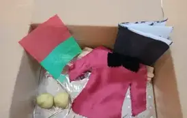IMG20251114094701