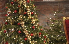 IMG20251211154714