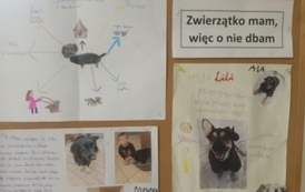 Zwierzątko mam, więc o nie dbam, kl. 2 1