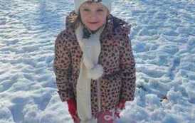 IMG-20260222-WA0048