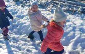 IMG-20260222-WA0046