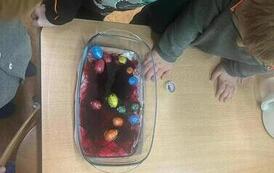 IMG-20260227-WA0033