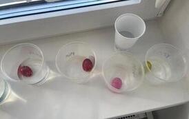 IMG-20260227-WA0023