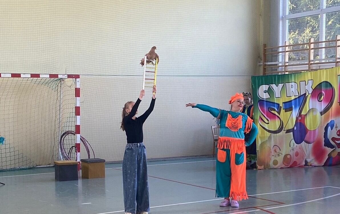 Zdjęcie do Cyrk &bdquo;Szok&rdquo; w naszej szkole