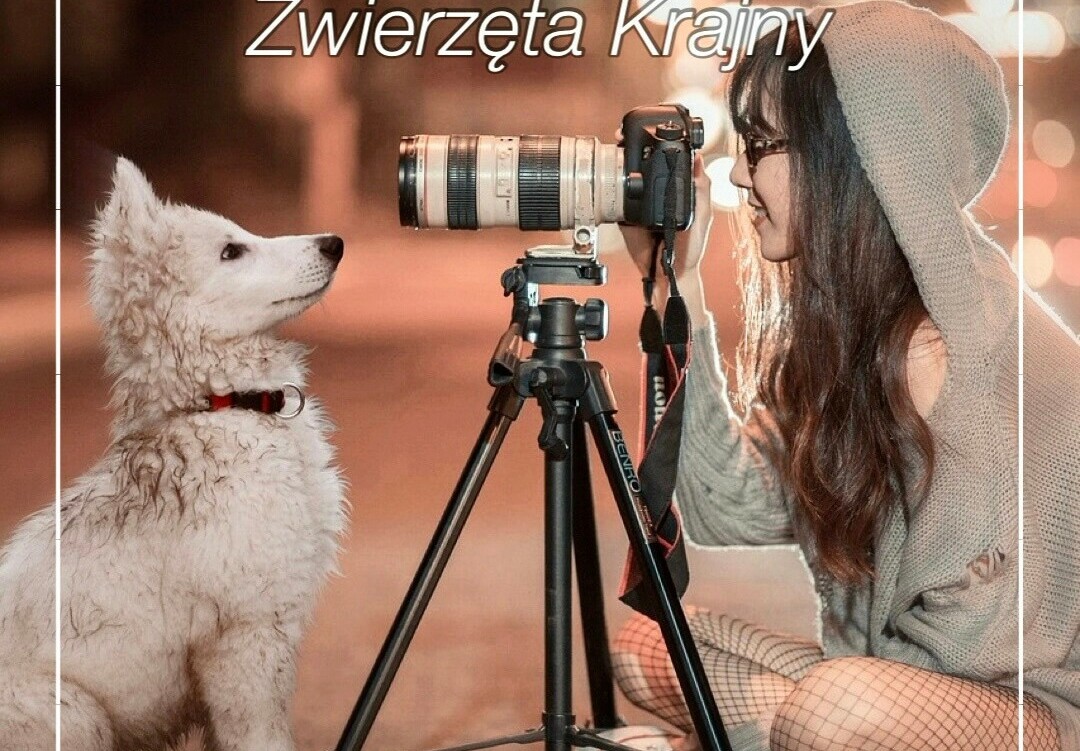 Zdjęcie do Konkurs Fotograficzny - Zwierzęta Krajny